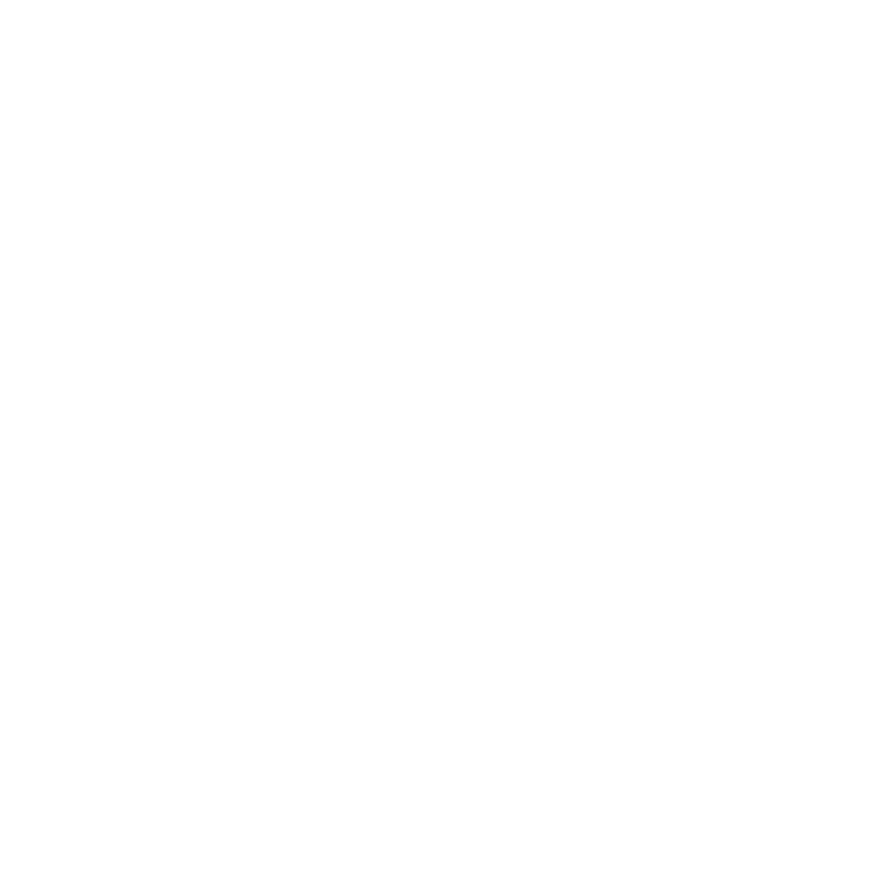 坚毅.png